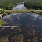 A stunning aerial shot of a peaceful lake surrounded by lush forests under a clear sky.