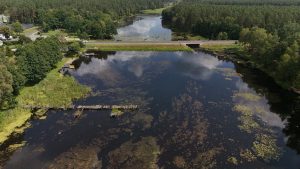 A stunning aerial shot of a peaceful lake surrounded by lush forests under a clear sky.